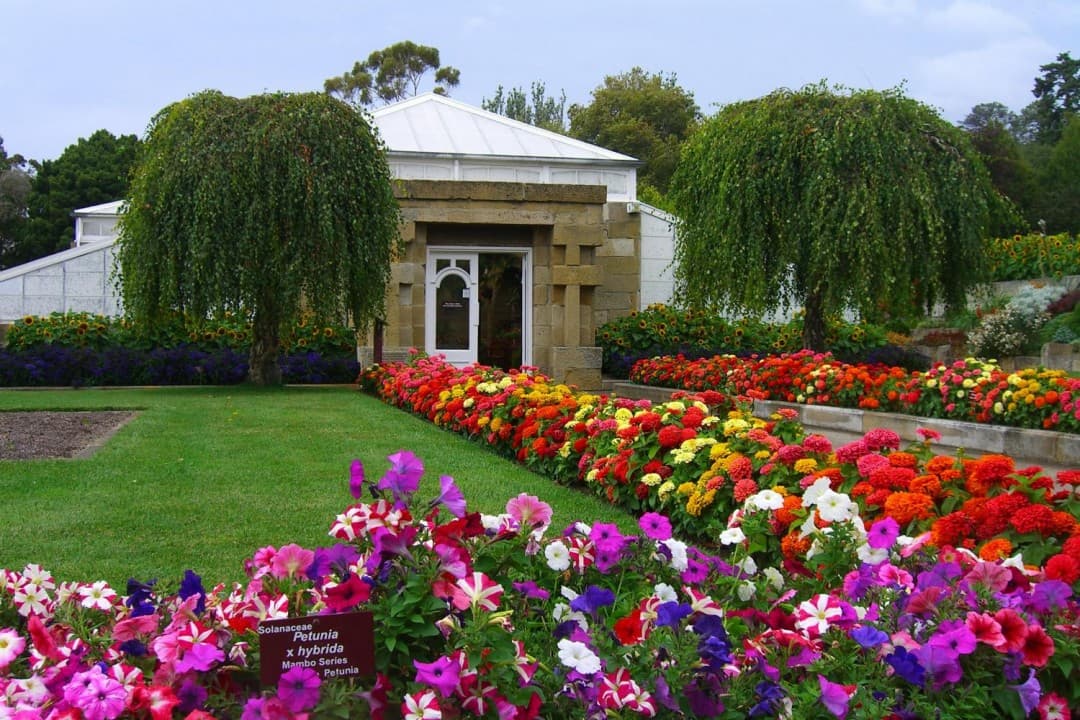 Sullivan's Cove and Hobart City Tour - imagen 6