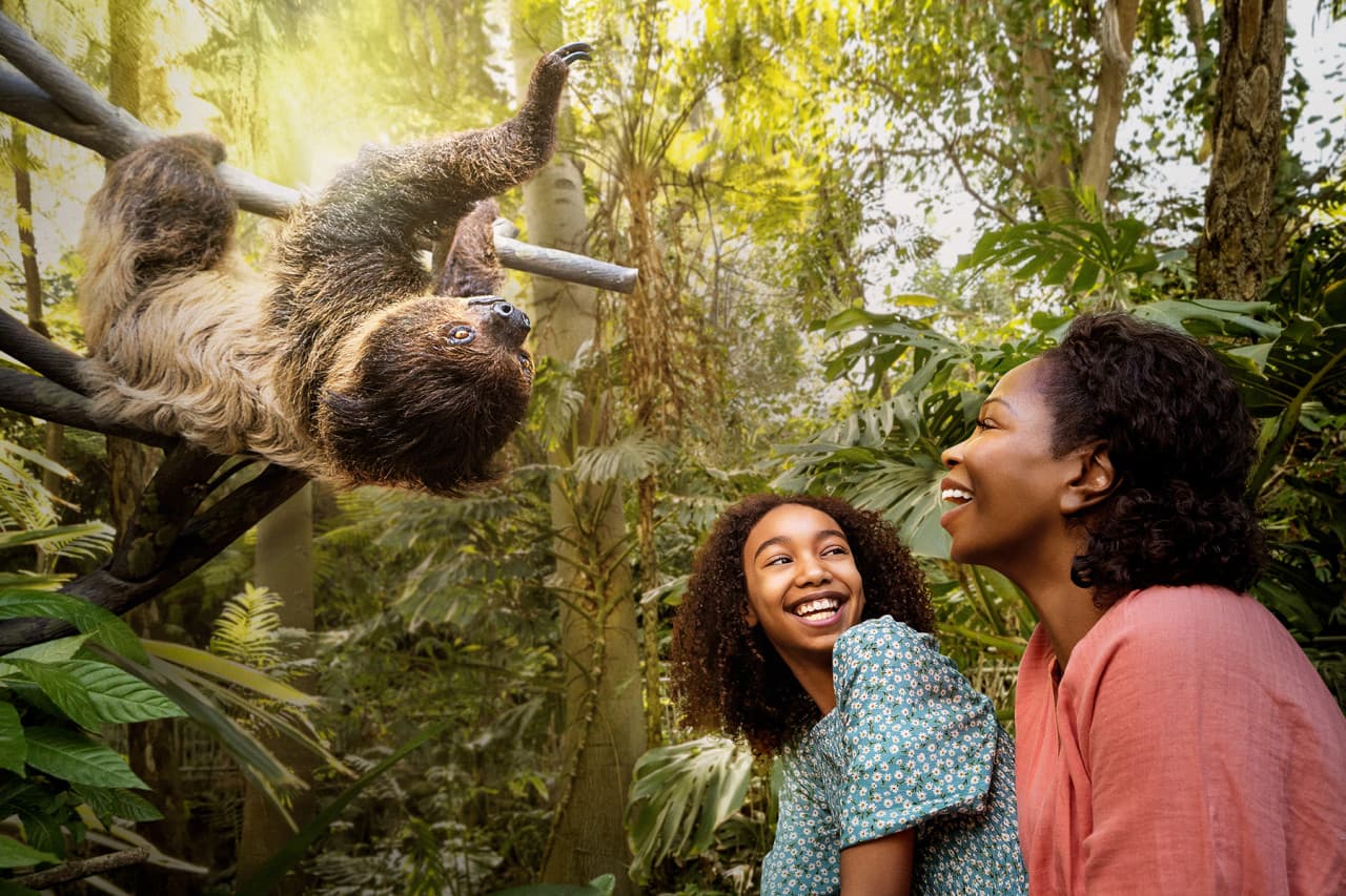 Go City San Diego All-Inclusive Pass Plus: Ahorre hasta un 50% en atracciones - imagen 2