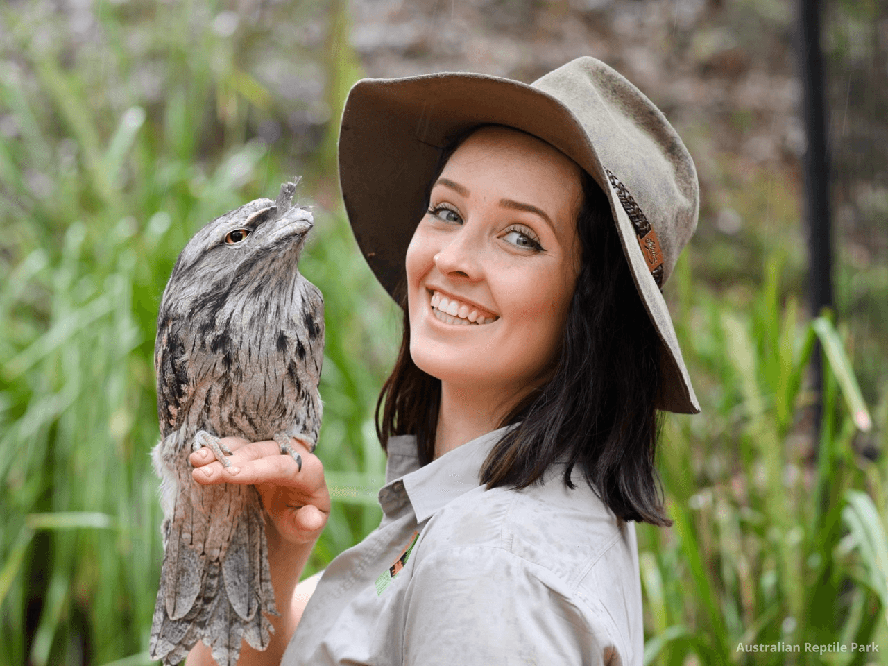 Australian Reptile Park - image 41