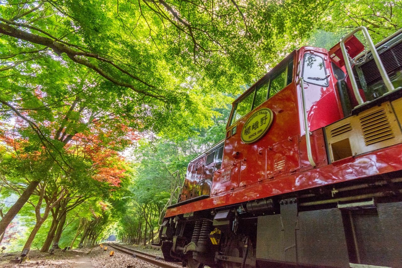 Tren Romántico de Sagano - imagen 18