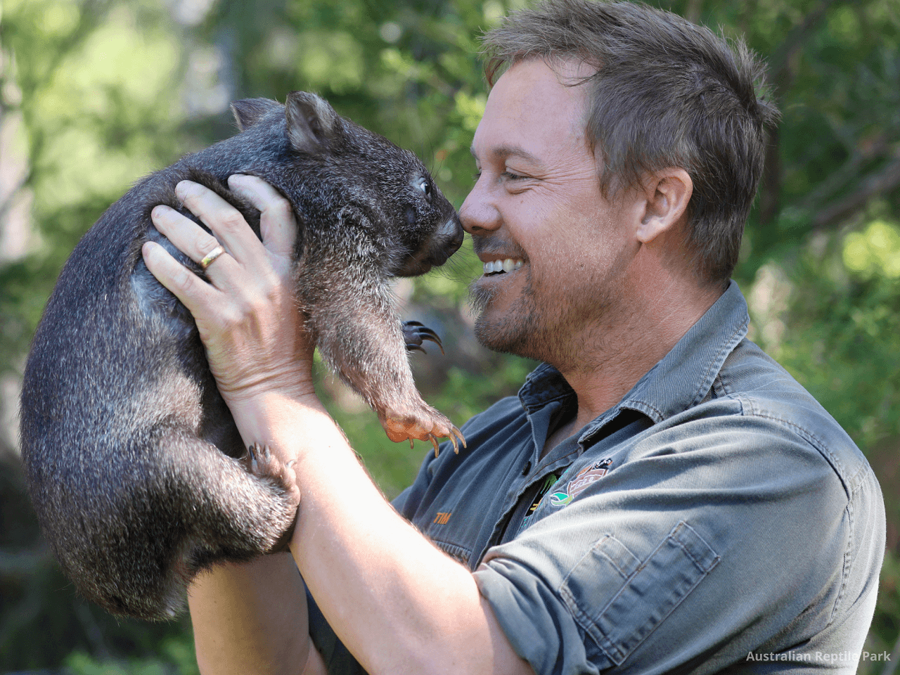 Australian Reptile Park - image 46