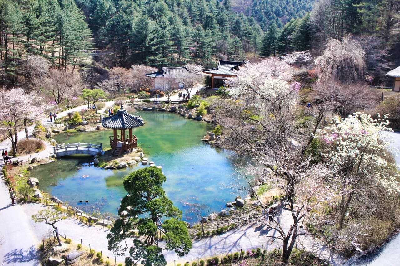 Nami Island, Mount Seorak, and Garden of Morning Calm Full-Day Tour from Seoul - 이미지 34