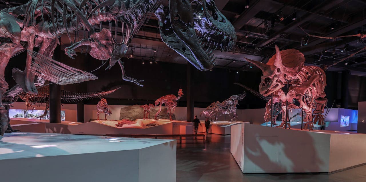 Entrada al Houston Museum of Natural Science - imagen principal