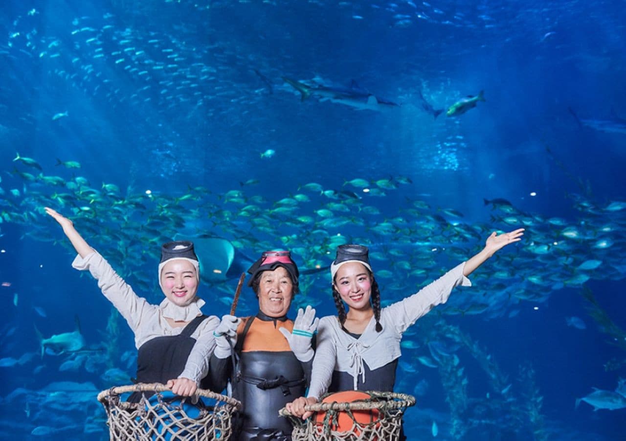 Aqua Planet Jeju Aquarium Ticket - image 8