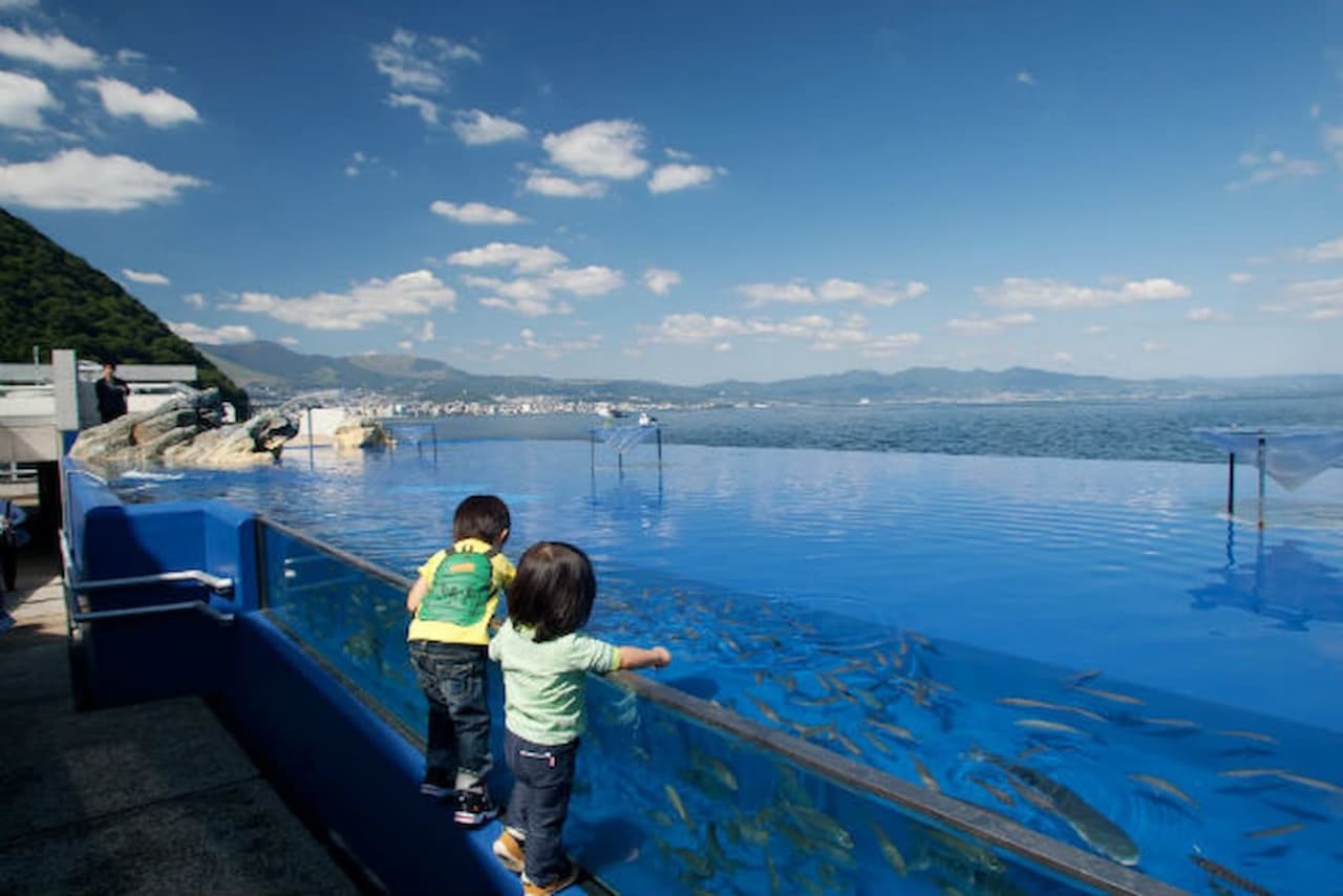 Oita Marine Palace Aquarium Umitamago Ticket - image 6