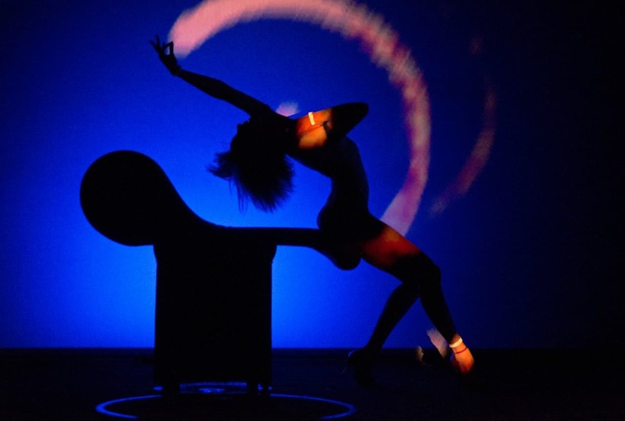 Crazy Horse Paris Show Ticket - imagen 5