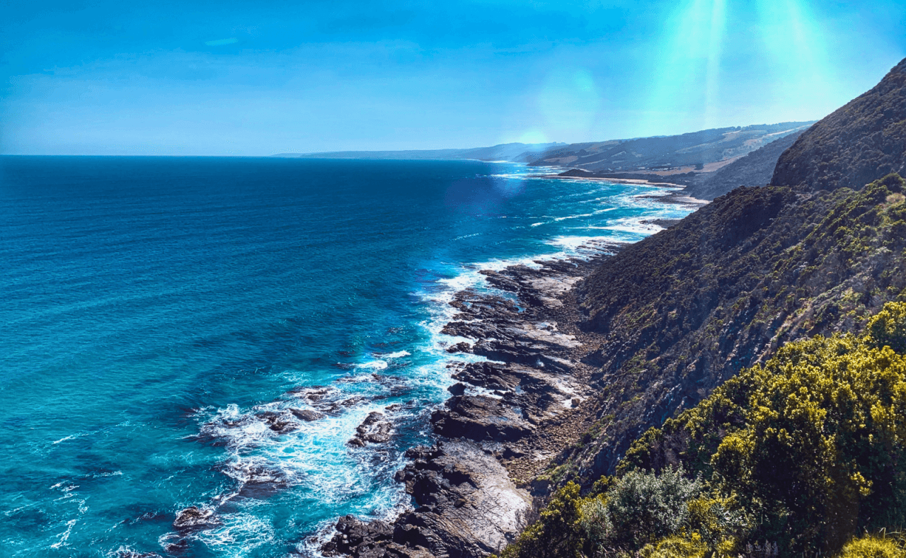 Great Ocean Road Tour from Melbourne - image 29