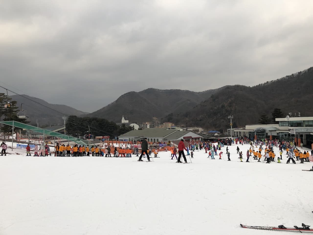 Jisan Forest Ski Resort Full-Day Tour from Seoul - imagen 6