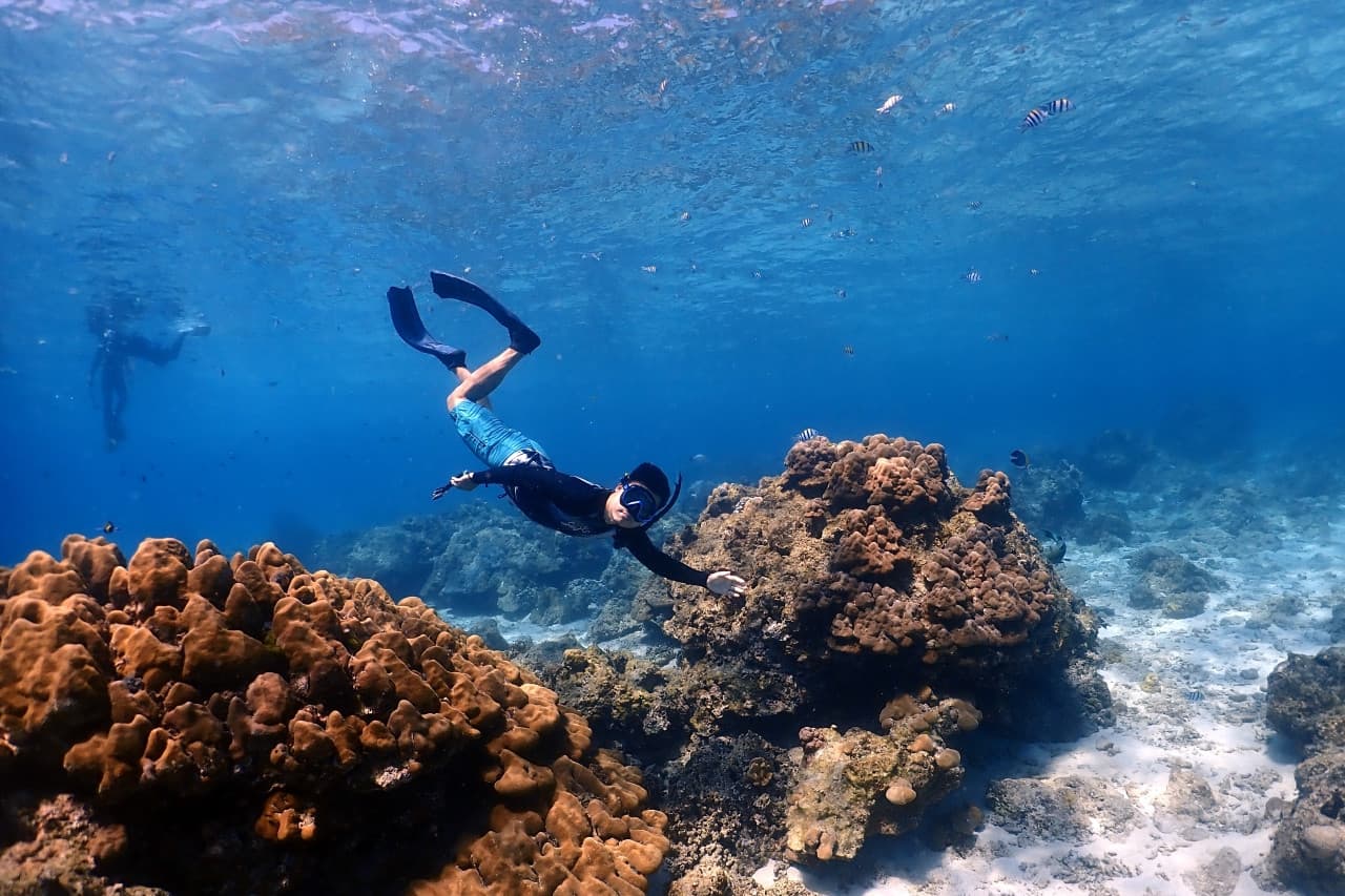 Raya Noi, Raya Yai, and Maiton Island Snorkelling Tour from Phuket - image 7