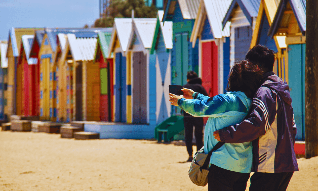 Phillip Island with Penguin Parade Eco Tour - image 2