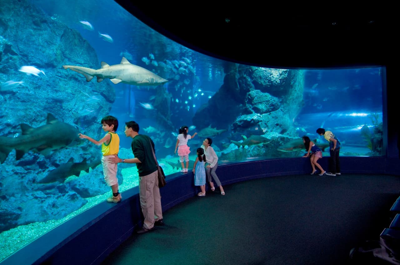 COMBO: Entradas para SEA LIFE Bangkok Ocean World + Madame Tussauds Bangkok - imagen principal