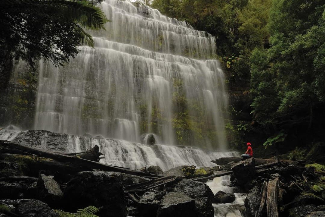 Russell Falls Tour from Hobart - image 8
