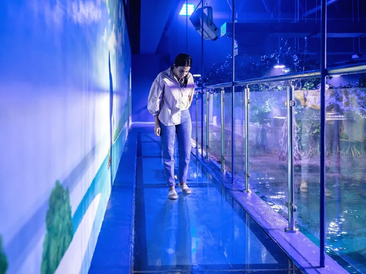 The National Aquarium Abu Dhabi Ticket - image 10