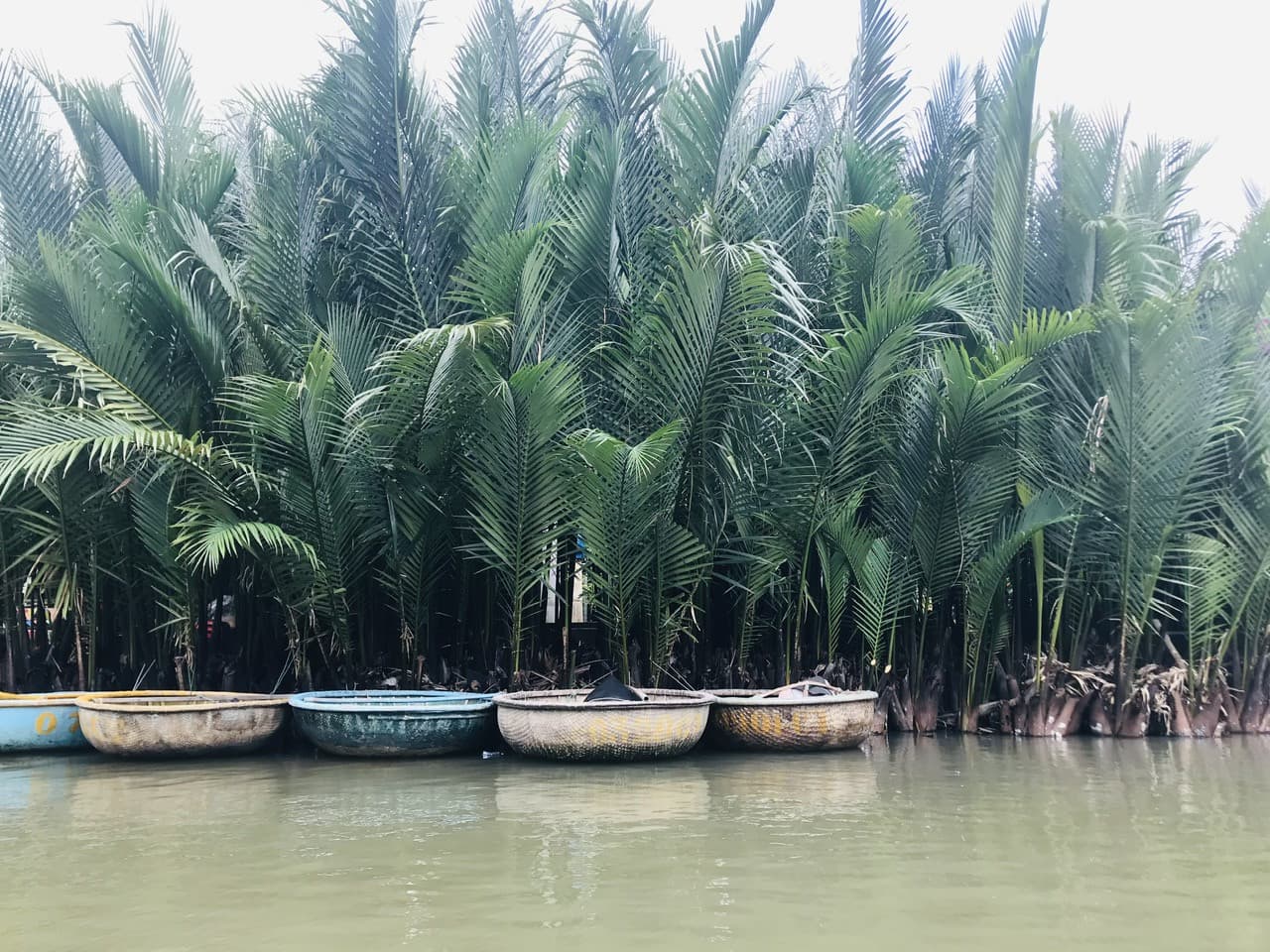 Hoi An Coconut Forest Basket Boat Ride - image 9