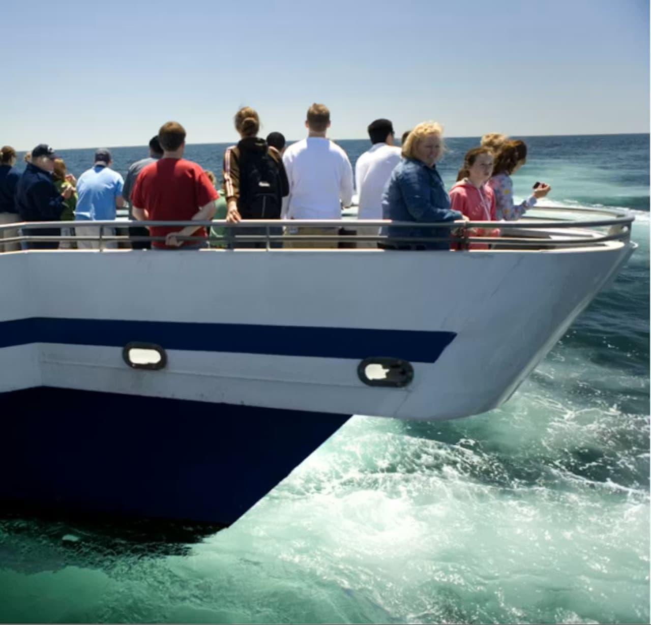 Boston Harbor Whale Watch Cruise - image 3
