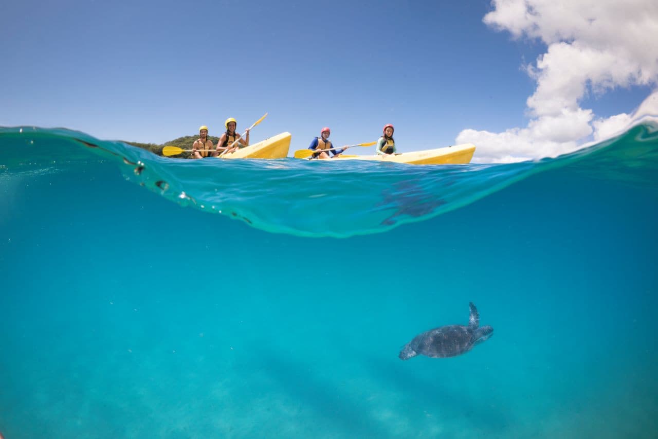 Byron Bay Kayaking Experience with Dolphins - image 2
