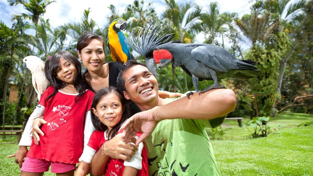 Bali Bird Park Ticket - image 2