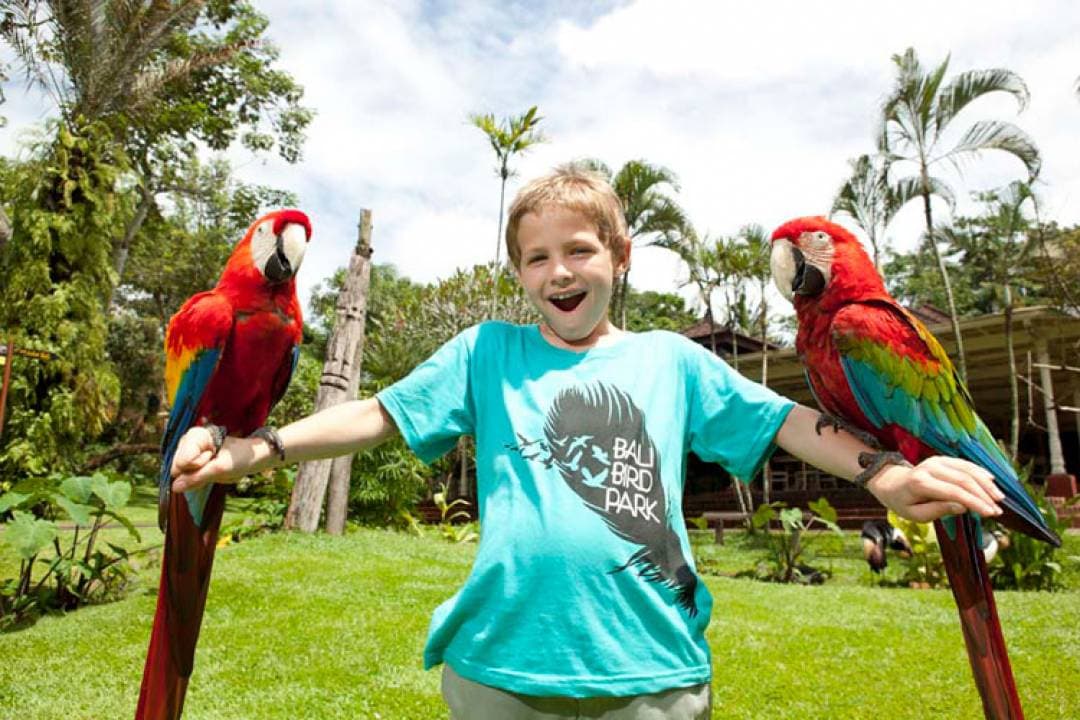 Bali Bird Park Ticket - image 10