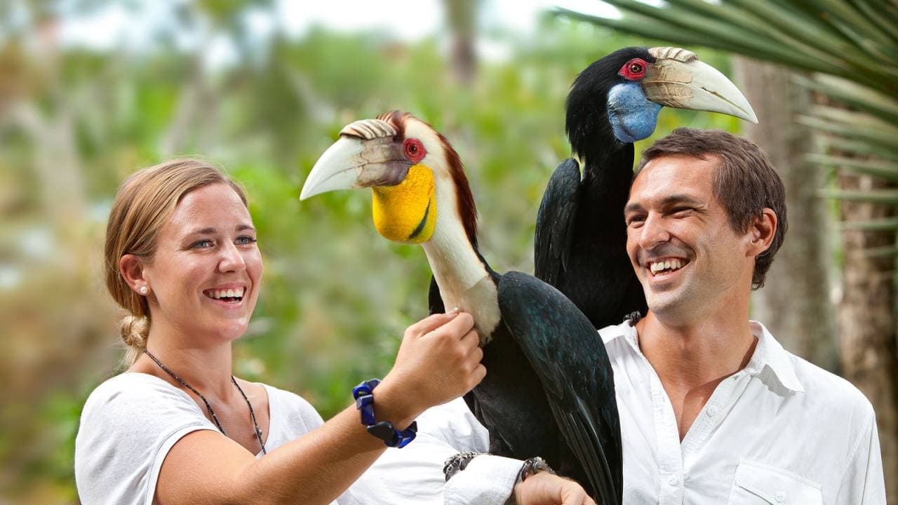 Bali Bird Park Ticket - main image
