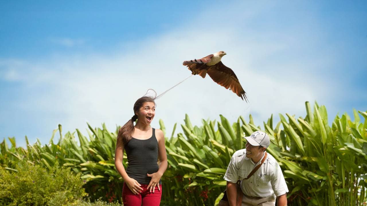 Bali Bird Park Ticket - image 3