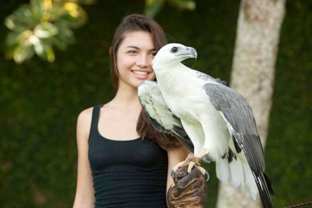 Bali Bird Park Ticket - image 9