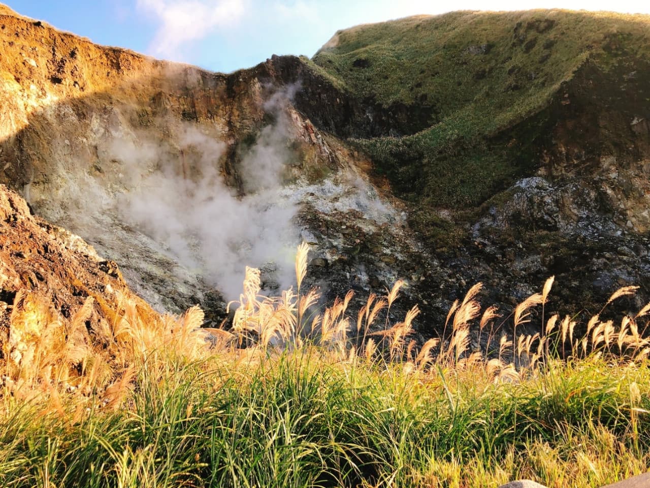 Yangmingshan National Park and Beitou Hot Spring Full-Day Tour from Taipei - image 6