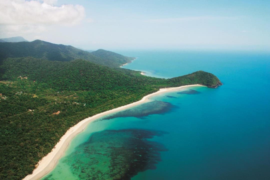 Cape Tribulation and Daintree Wilderness Full-Day Tour - image 8