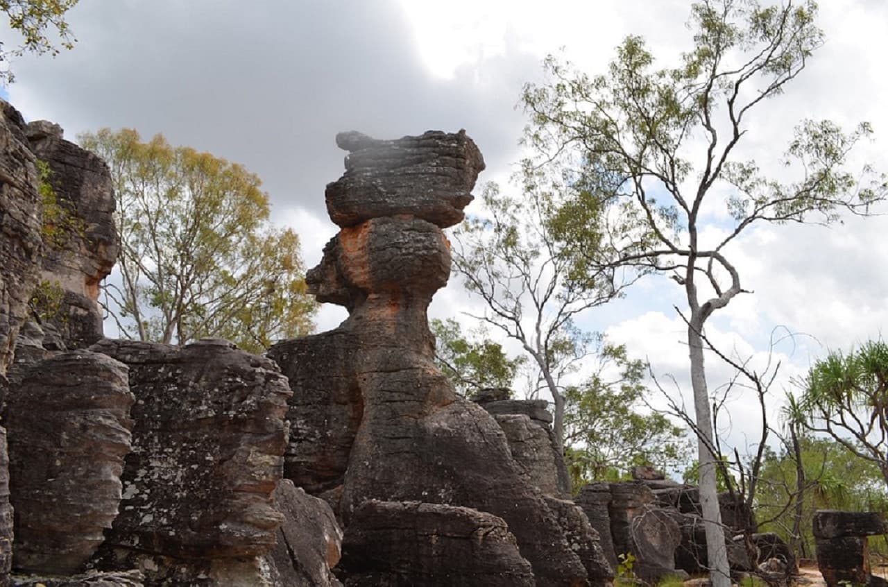 Litchfield National Park and Waterfalls Tour from Darwin - image 3