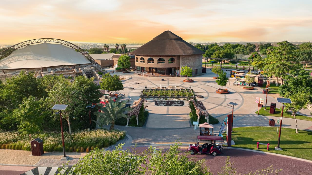 Dubai Safari Park Ticket - image 31