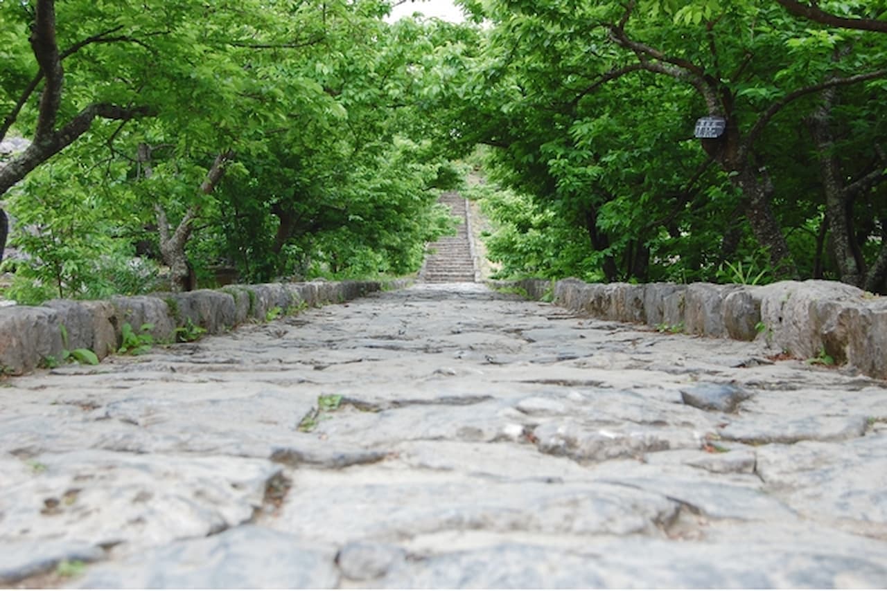 Nakijin Castle Ruins Ticket - image 2