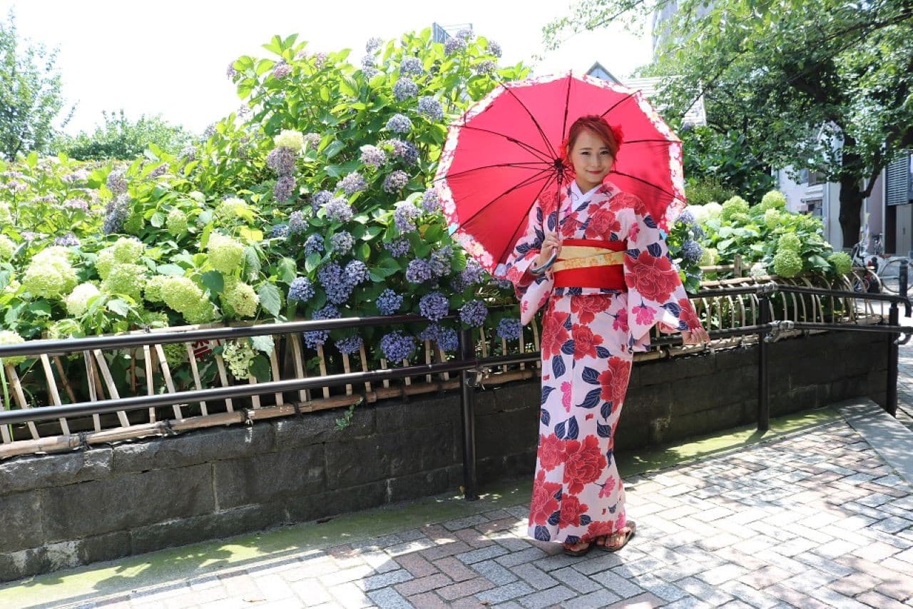 Kimono Rental in Tokyo, Asakusa - image 24