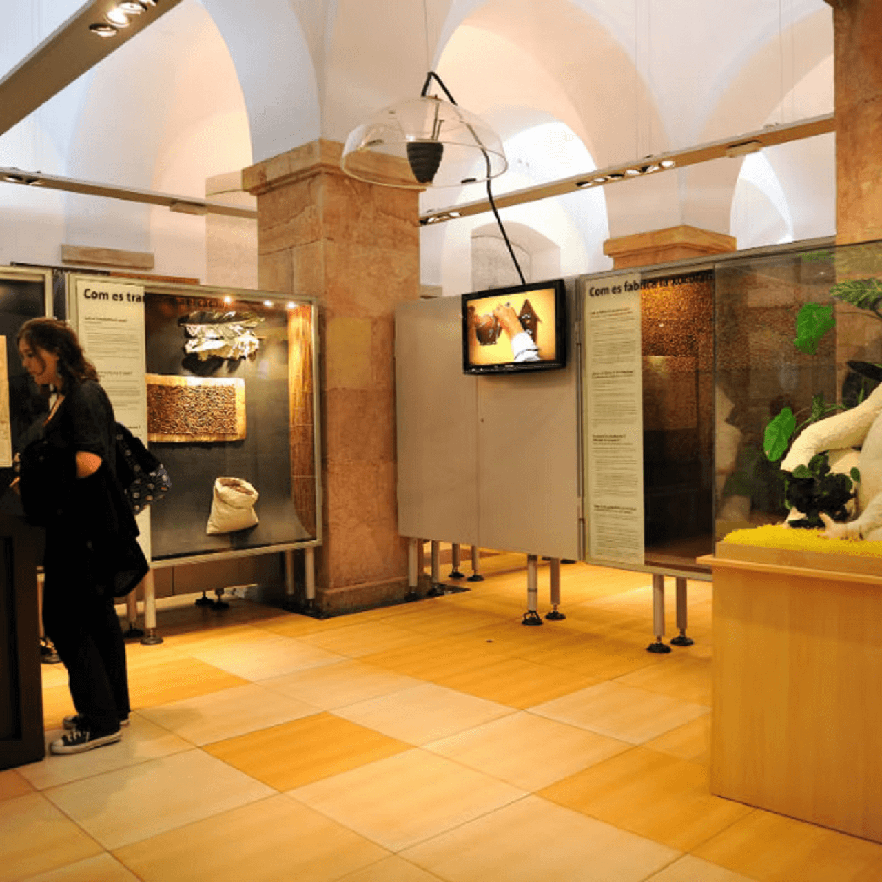 Chocolate Museum (Museu de la Xocolata de Barcelona) - image 4