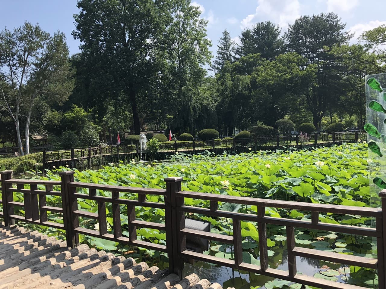 Nami Island and Mount Seorak Full-Day Tour from Seoul - image 7