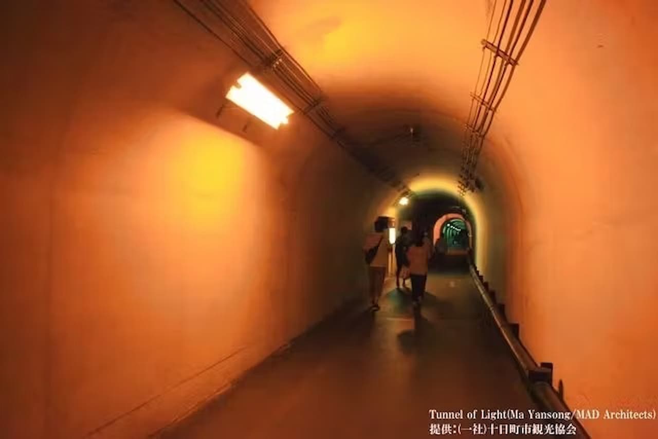 Kiyotsukyo Gorge Tunnel Ticket - image 8