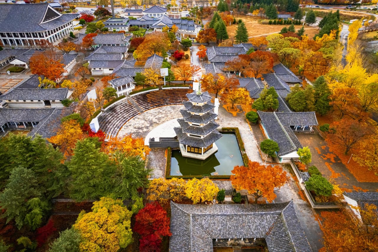 Gyeongju Autumn Foliage One Day Tour from Busan - image 4