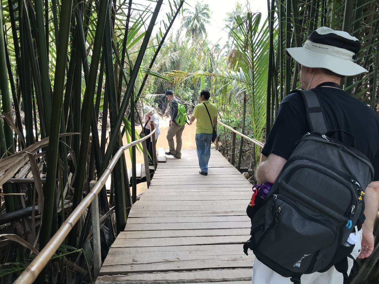 Mekong Delta Full-Day Tour from Ho Chi Minh City - image 10