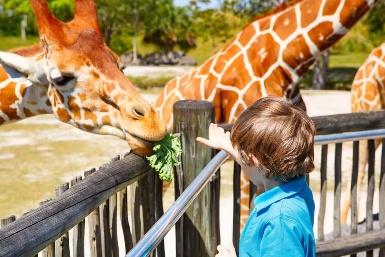 Zoo Miami Ticket - main image