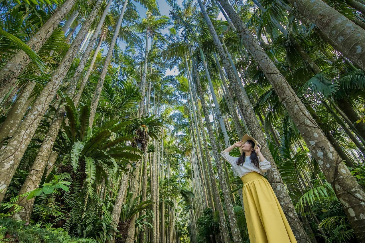 Okinawa Southeast Botanical Gardens - main image