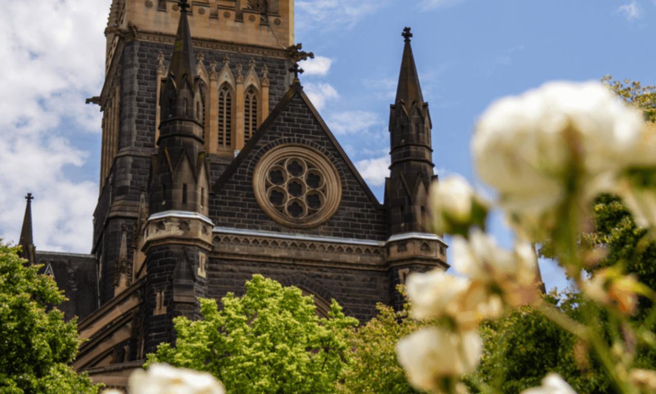 Melbourne City Discovery Tour - image 5