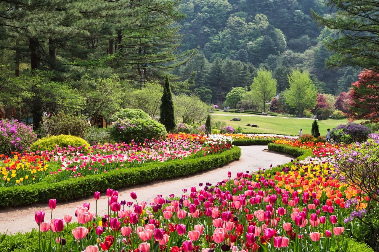 Nami Island, Mount Seorak, and Garden of Morning Calm Full-Day Tour from Seoul - 이미지 30