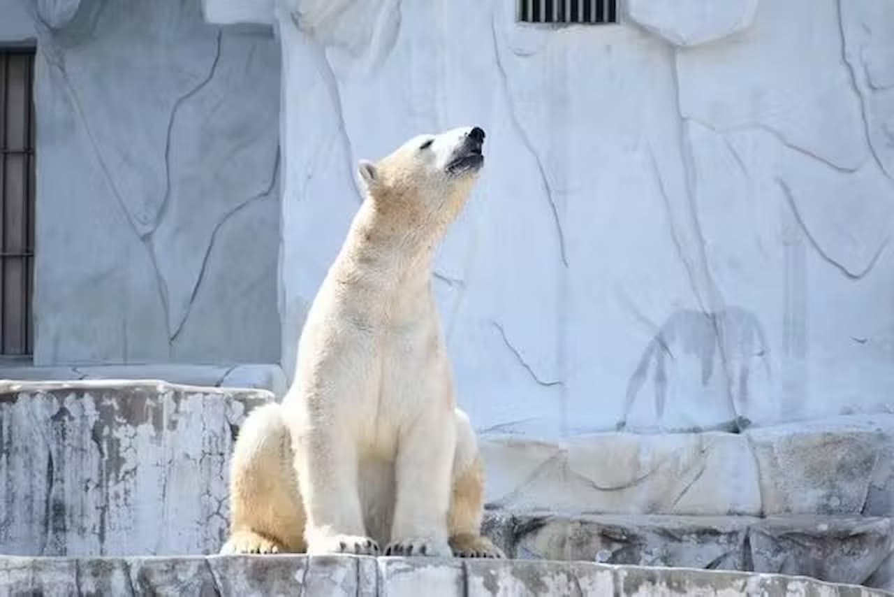 Nagoya-City Higashiyama Zoo and Botanical Gardens - main image