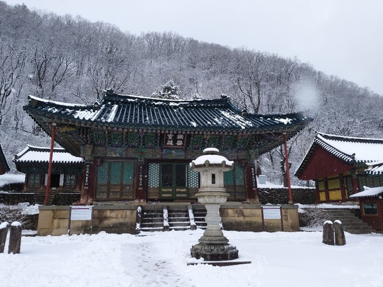 Nami Island and Mount Seorak Full-Day Tour from Seoul - image 8