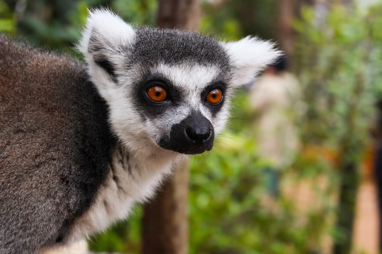 London Zoo - image 3