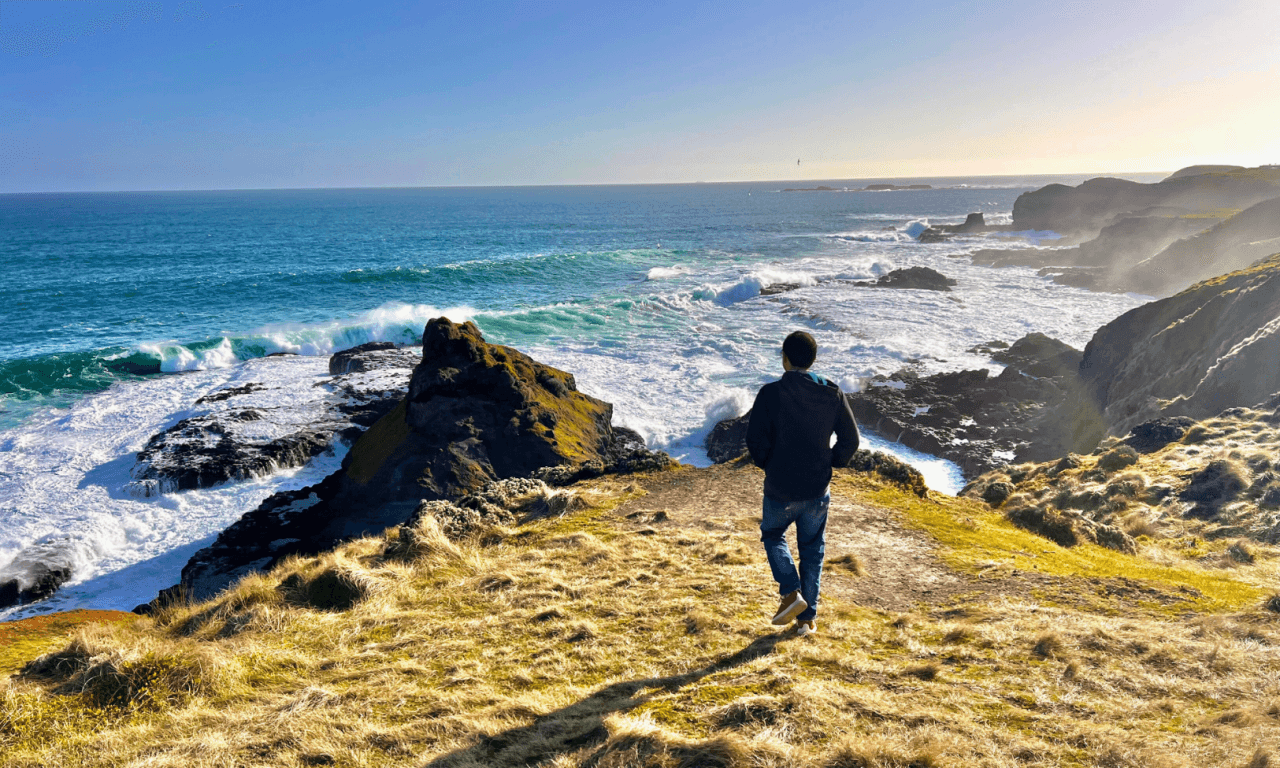 Penguins Express Tour from Melbourne - image 12