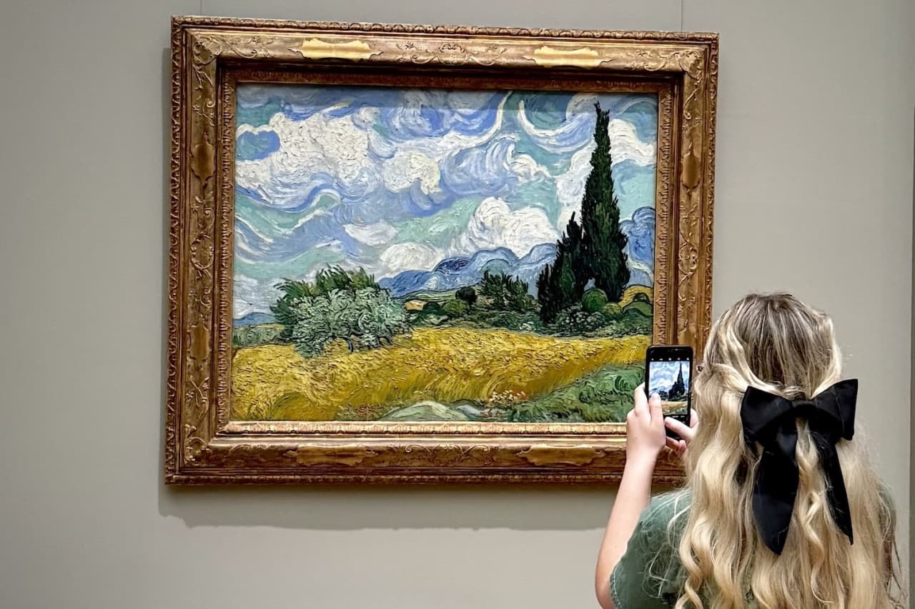NYC Metropolitan Museum of Art: Guided or Self-Guided Tour - image 12