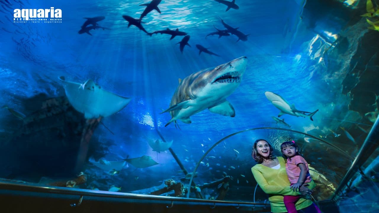 Aquaria KLCC Ticket - main image