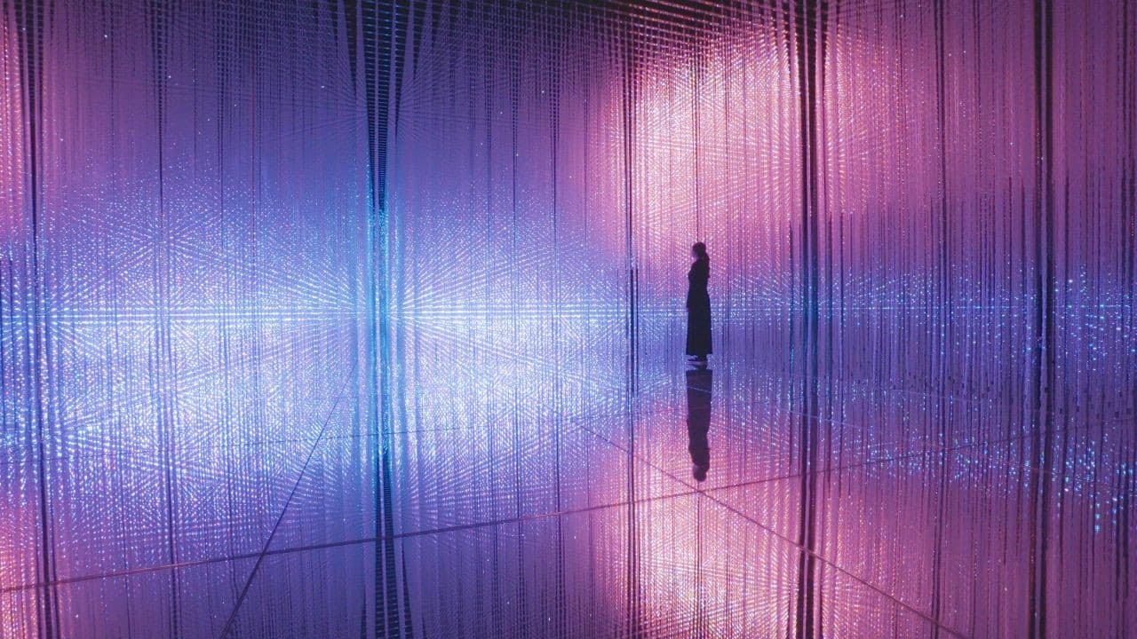 Entrada al ArtScience Museum - imagen 11