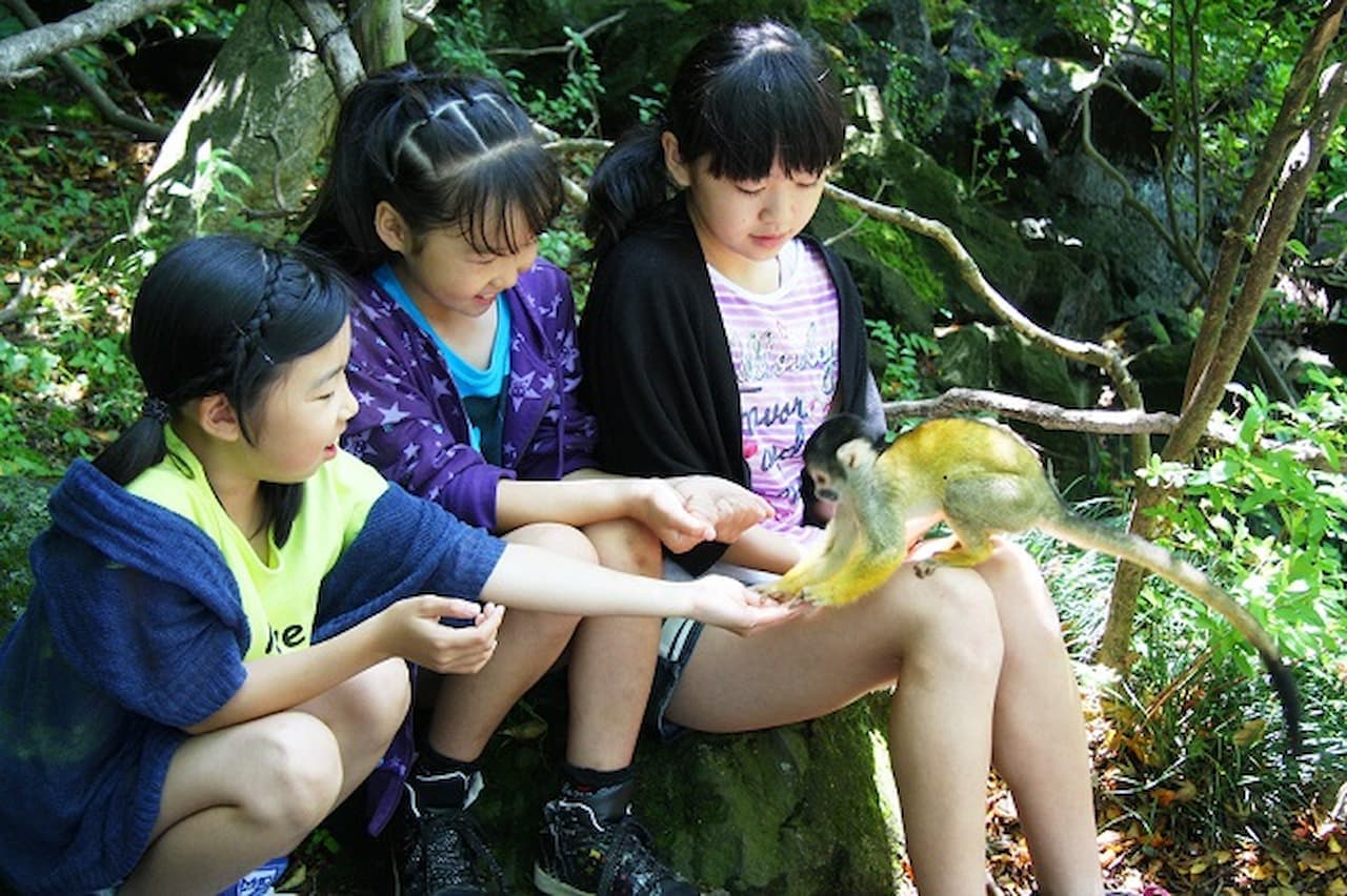 Izu Shaboten Zoo Ticket - image 4