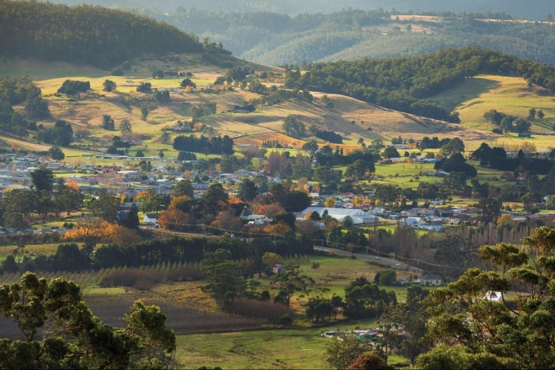 Huon Valley Tour - image 6