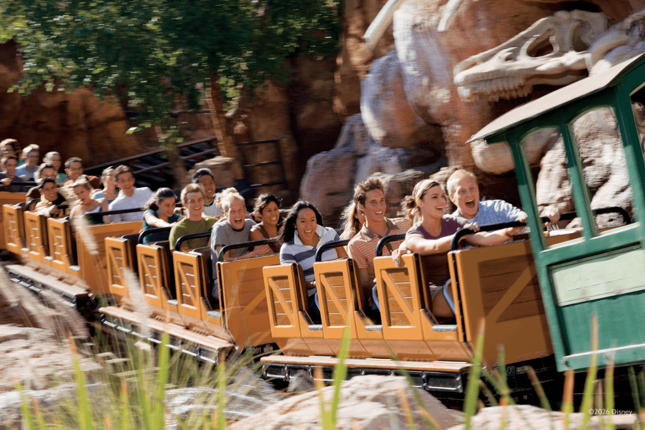Disneyland Park and Disney California Adventure Park Ticket - image 13
